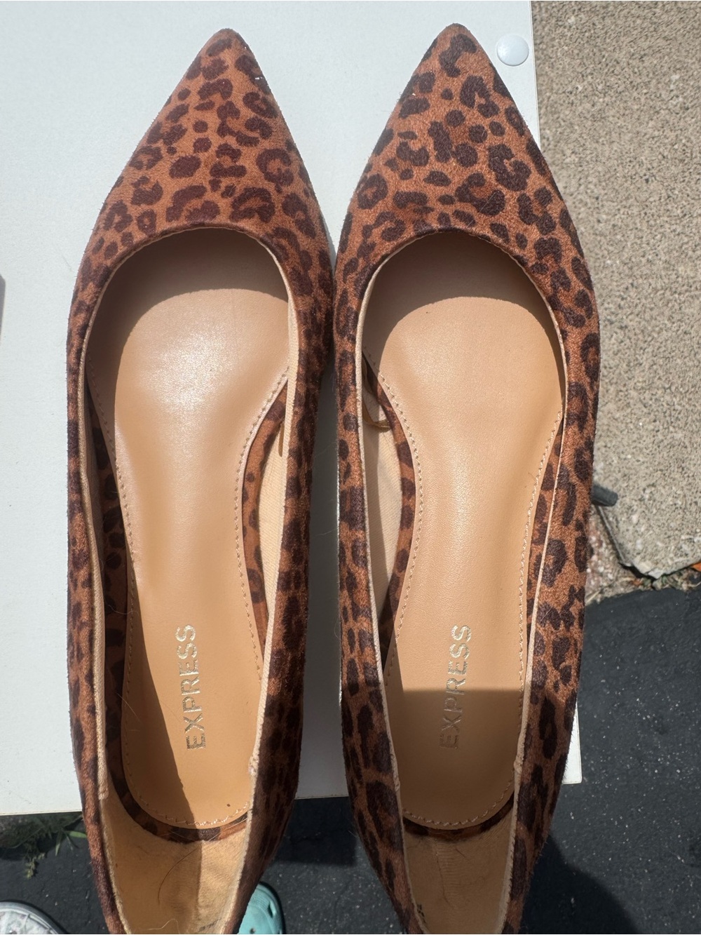 Express Leopard-Print Pointed Toe Flats in Brown/Tan